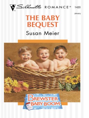 cover image of The Baby Bequest